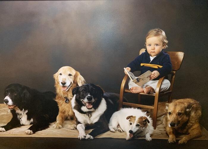little kid reading to five dogs 